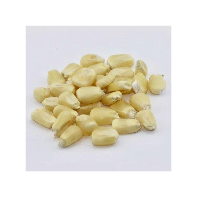 Top-quality white maize for sale ideal for animal feed and food industry - Image 5