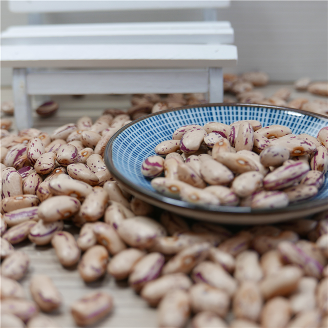 New Crop LSKB Long Shape Organic Dried Pinto Light Speckled Kidney Beans - Image 6