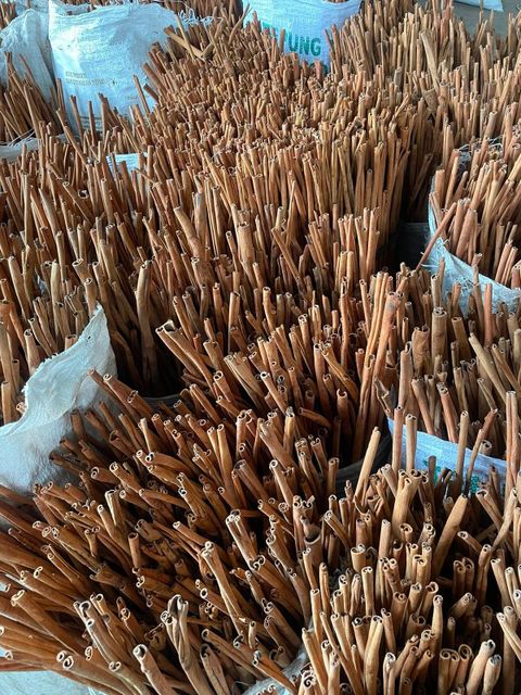 Premium Indonesian Cassia Cinnamon (Sticks & Powder) – Export Grade from Medan - Image 2