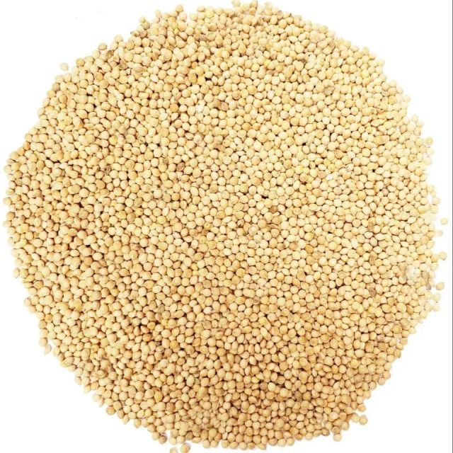 Premium Organic Millet Grain For Healthy Daily Meals And Natural Nutrition Rich Farm Fresh Quality Supply - Image 1