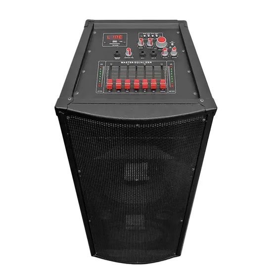 Wireless Microphone Speaker 10 Inch Bluetooth Party Speaker - Image 4