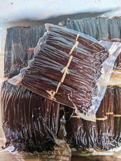 Vanilla - Grade A Planifolia Vanilla Gourmet Vanilla Beans - Vacuum Sealed Vanilla - Image 2