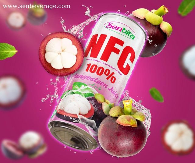 GRAPE JUICE, MANGO JUCIE, GUAVA JUICE, ORANGE JUICE, MANGOSTEEN JUICE, PASSION JUICE, LYCHEE JUICE - Image 2