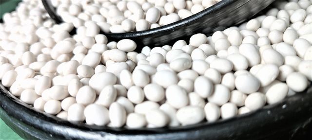 Ethiopian Origin New Crop 2024 White Pea Beans Wholesale Dried Handpicked and Polished Bulk Quality Kidney beans. - Image 3