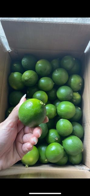 Seedless Lime Packaging 4,5kgs - 5kgs - - Image 5