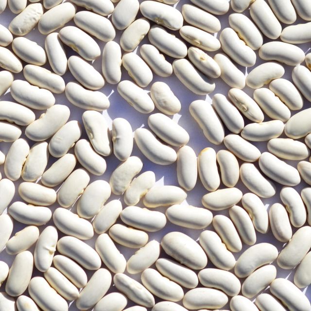 Export Quality White Kidney Beans Bulk Packing For Wholesale Food Industry Premium White Kidney Beans High Nutrition Reliable Supply - Image 3