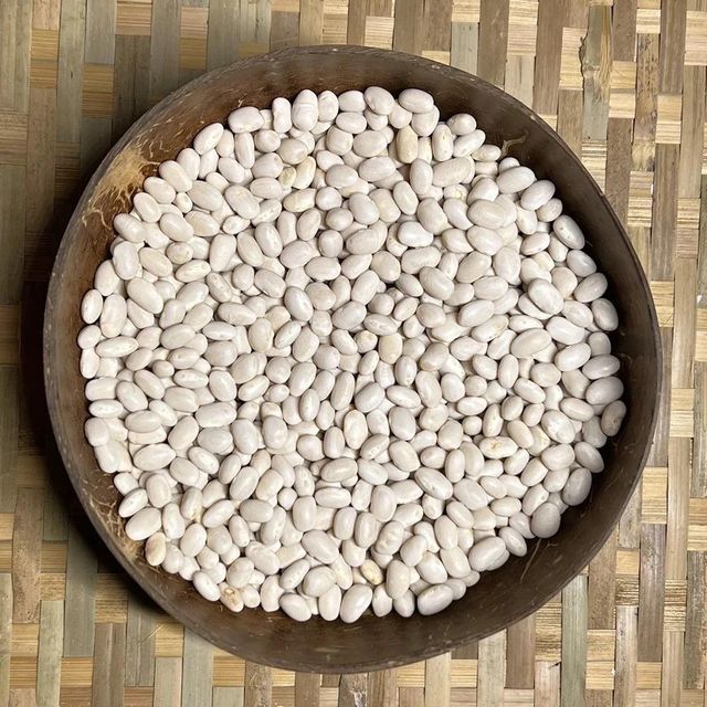 Fresh Navy Beans Clean Dry Natural Beans With Rich Nutrition For Food Preparation Buy Fast Delivery Premium Quality Wholesale Naturally Perfect For Home Kitchen And Food Industry - Image 1