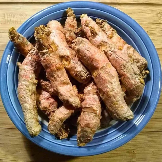 Natural Turmeric Root For Health Product Formulations Food Processing Applications And International Distribution - Image 3