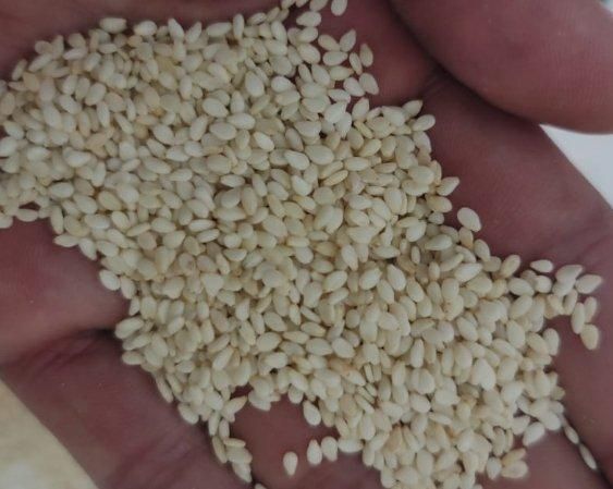 All kind of quality of sesame seeds is available. Price depending upon what quality you need to first tell me that then we offering you price as well this price is random price of today - Image 3