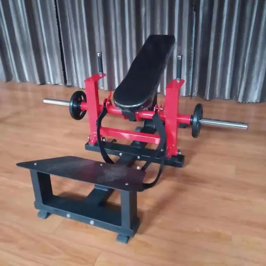 Dezhou Factory Free Weight Gym Machine Commercial Strength Hip Thrust Fitness Equipment - Image 6