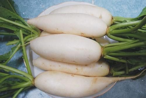 FRESH WHITE RADISH FOR SALE 2019 Type Radish Color White Style Fresh Weight (kg) 1 Content RADISH Taste Delicious Shelf Life 20 - Image 3