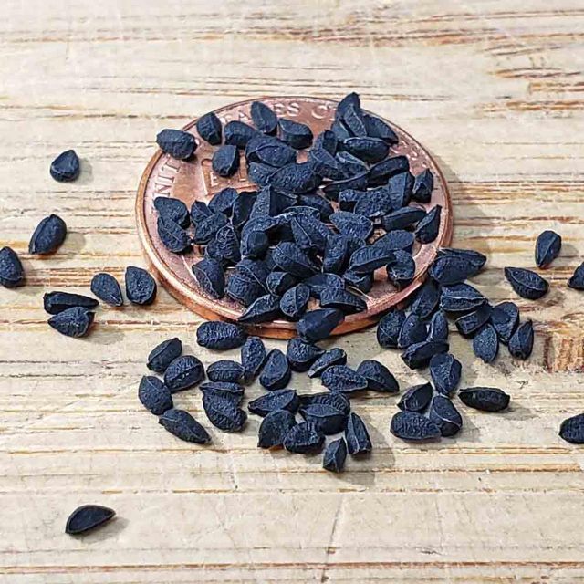 High Grade Nigella Seed Fresh Natural Nigella Seed Organic Bulk Supply Available Now for Wholesale Buyers - Image 4