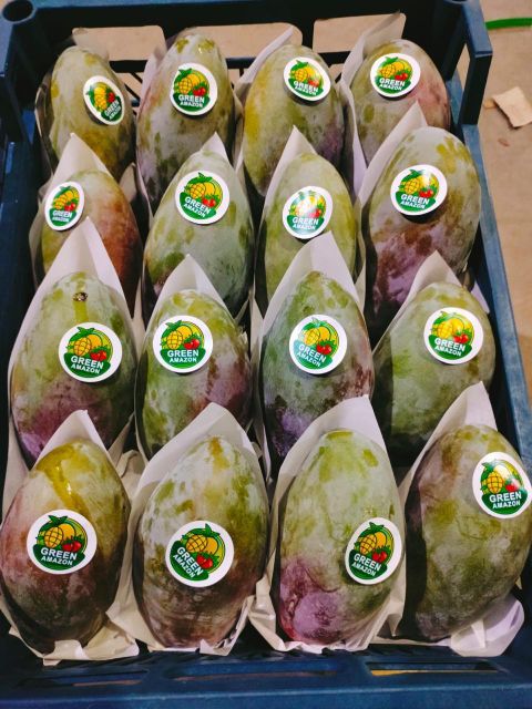 Fresh Mango Organic Yes Origin Egypt Degree of Processing Frozen Degree Of Maturity Mature, Semi-Ripe, Unripe - Image 1
