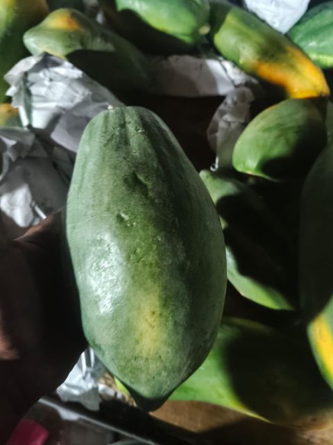 Papaya Organic No Features Fair Trade Degree Of Maturity Mature Degree of Processing Whole - Image 1