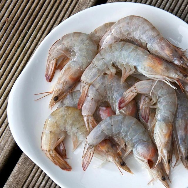 Frozen Fresh Shrimps Rich In Protein With Clean Processing Standards And Reliable Cold Chain Distribution Support - Image 4