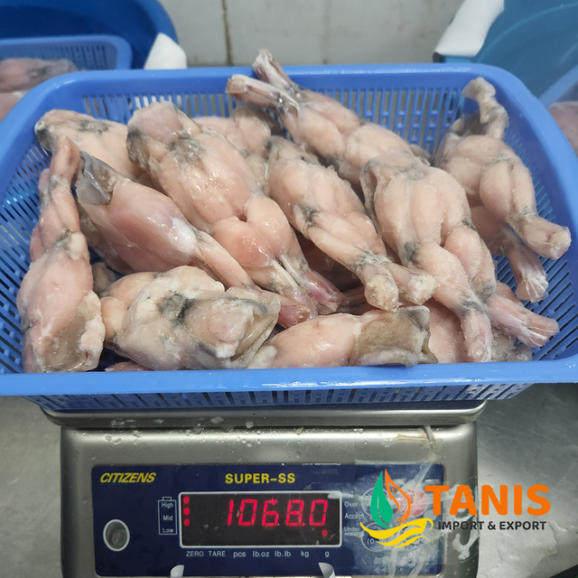 Best Selling Frozen Frog Legs/Cuisse de Grenouille from Vietnam Exporter - Image 4