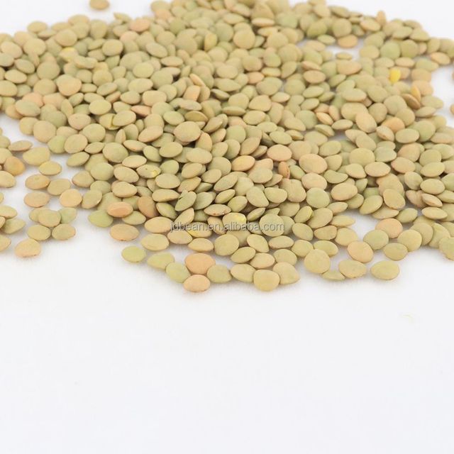 China Origin Factory Customize Raw Wholesale 7 mm Cheap Yellow Lentil Price Green Lentils Green Lentils - Image 5