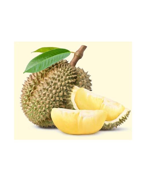 HIGH QUALITY FROZEN DURIAN MONTHONG THE GREATEST TASTE AND PREMIUM QUALITY - Image 1