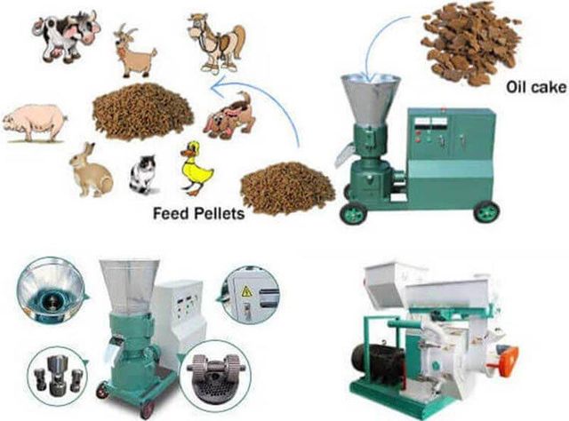 pellet machines Grade new Pellet Diameter 6-10mm Pellet Length Adjustable Crushing Output Size 6-8mm Drying Moisture Level 10-15% - Image 3