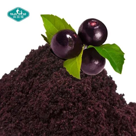 Fruit Extract 100 Natural Freeze Drying Acai Berry Extract Concentrate Juice Powder - Image 2