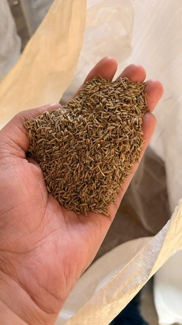cumin seeds – product photo 3, product detail gallery