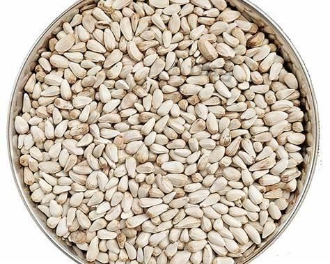 Safflower Seeds, Carthamus tinctorius, kasubha 99% Purity, Premium Export Quality, India - Image 5