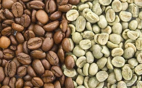 ARABICA COFFEE BEANS Grade AA, AA+ - Image 3