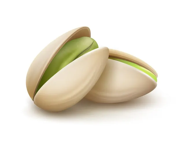 Premium Fresh Pistachio Nuts Natural Green Kernels Raw Unshelled Pistachios Wholesale Bulk Supply - Image 4