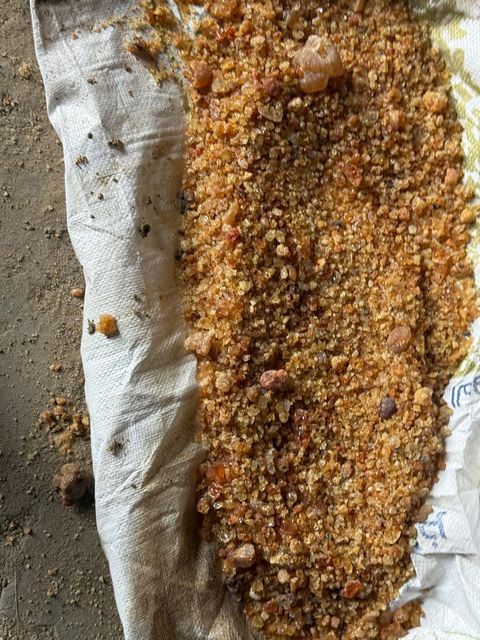 gum arabic - acacia seyal ( talha) - Image 4