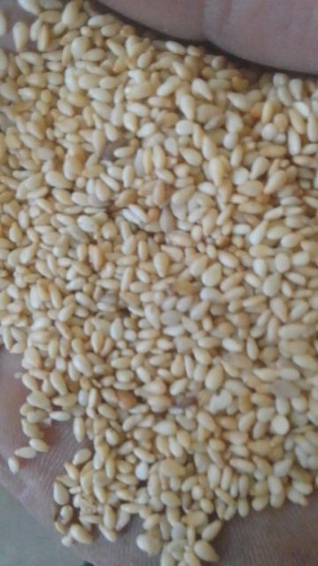 Roasted Sesame Seeds - Image 1