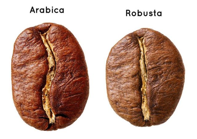 Arabica Green Bean Coffee Grade 1 AA Specialty Grade 1 Max. Moisture (%) 12 Processing Type Semi Wash Place of Origin West Java, - Image 3