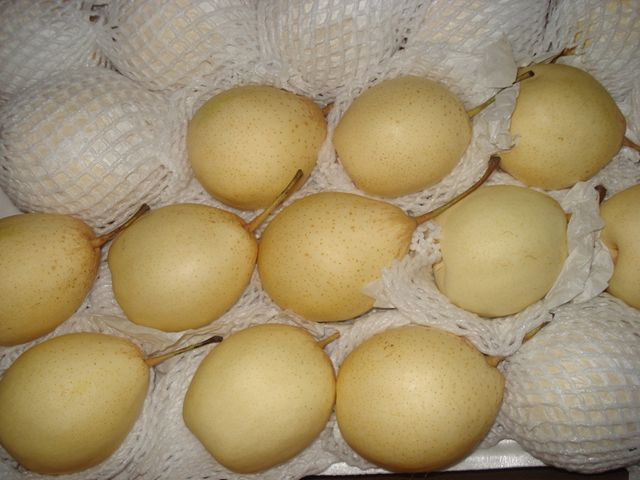 Chinese high quality Ya pear Grade A Taste Sweet Style Fresh Weight (kg) 0.3 Variety Ya Pear Certification TOP Type Pear, Ya - Image 4