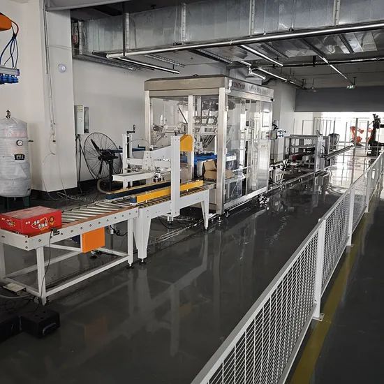 Automated Packaging Machine Case Packing Line Conveying Unboxing Filling, Sealing, Packing and Palletizing Machine - Image 6