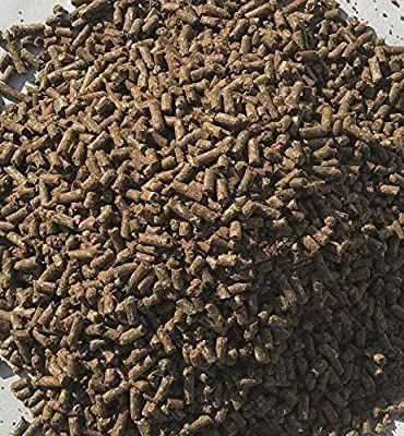 Premium Pellets For Biomass Boilers Fireplaces And Modern Heating Equipment Wholesale Price - Image 4