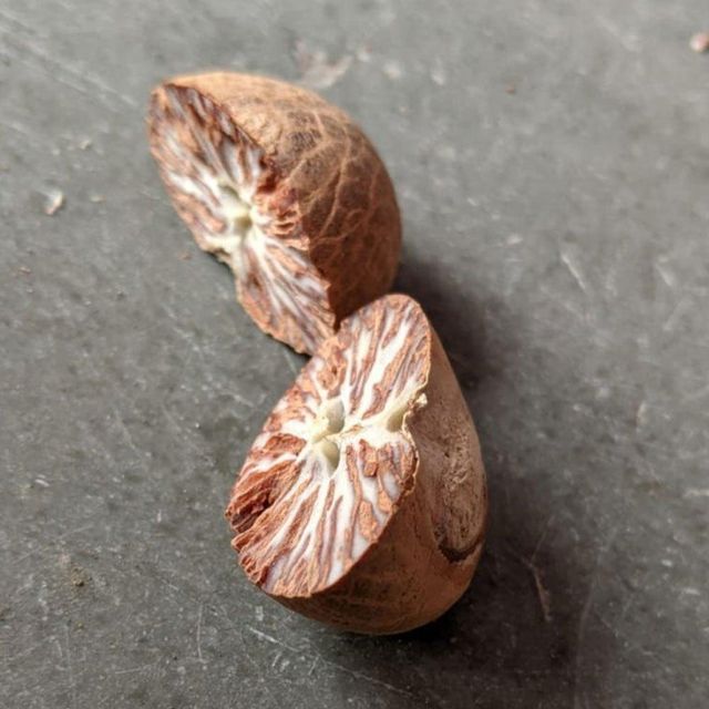 Natural Sun Dried Betel Nuts From Trusted Farms With Premium Packing Methods For Overseas Import And Bulk Supply - Image 3