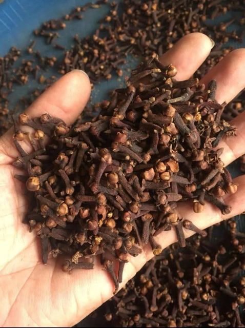 cloves - Image 2
