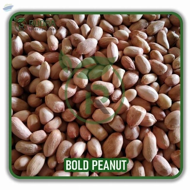 Bold Peanuts - Image 1