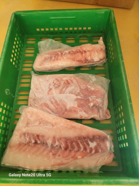 Frozen Groupers fillets Cut Fillet Freshness Level Fresh, Frozen - Image 3