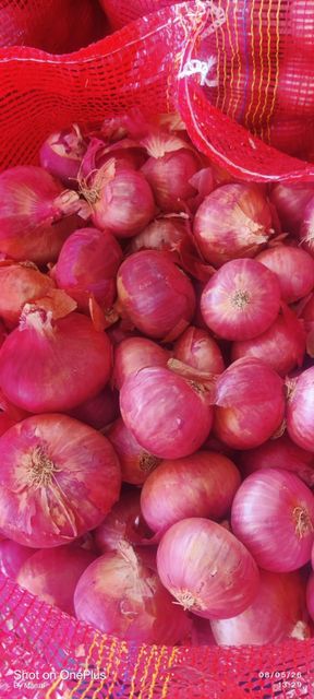 Red Onions - Image 3