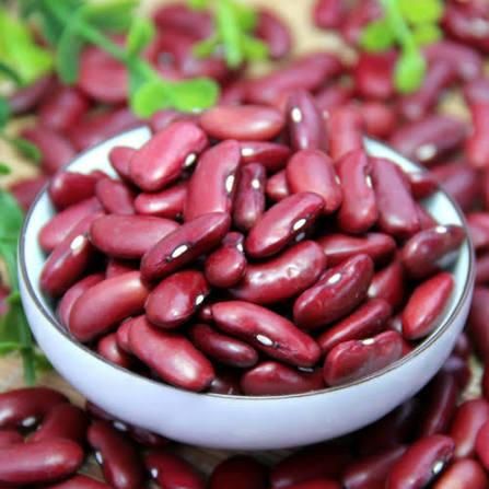 Dark Red Kidney Beans Price Big Size Red Kidney Beans 40 Ton Grade AA Fat 0.5g Zinc 1.1mg Fiber 6.4g Iron 2.9mg Sugars 0 - Image 3
