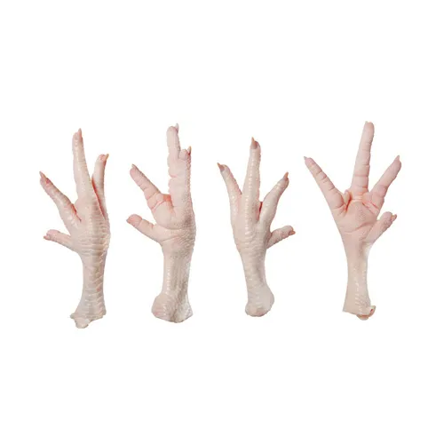 Chicken Feet / Frozen Chicken Paws Brazil / Fresh chicken wings and foot ready for export - Image 5