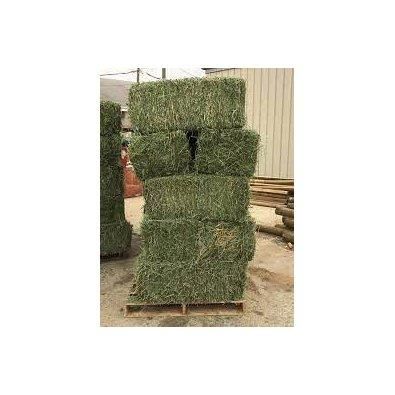 hay lucerne 1%max admixture feed 12x12x12 cube 450kg bales 25tons 15days lucerne hay - Image 2