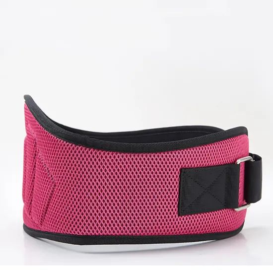 Lumbar Support with Plastic Back Support Back Support Belt - Image 6