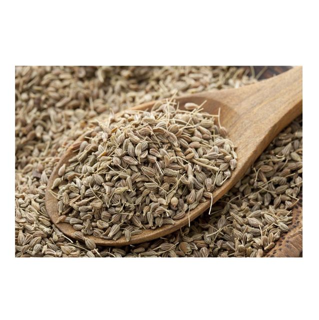 Wholesale Organic Dried Aniseed, High Quality and Aromatic - Image 2
