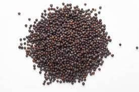 BLACK MUSTARD   Mustard Seeds (Black)  Small Mustard Seeds Packaging 25kg pp - Image 1