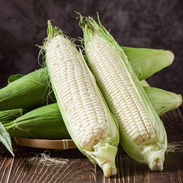 Best Selling Organic Dried Yellow and White Corn Maize for Animal Feed Bulk - Image 4