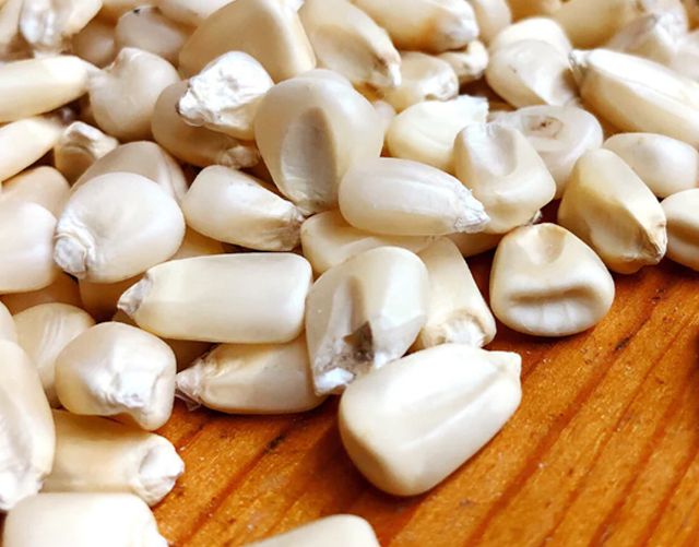 White Corn (Maize) - Image 2
