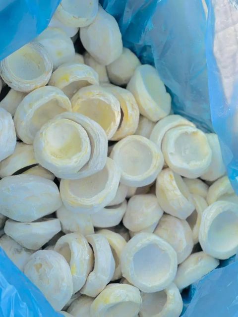 artichokes Address Egypt Packaging plastic - Image 5