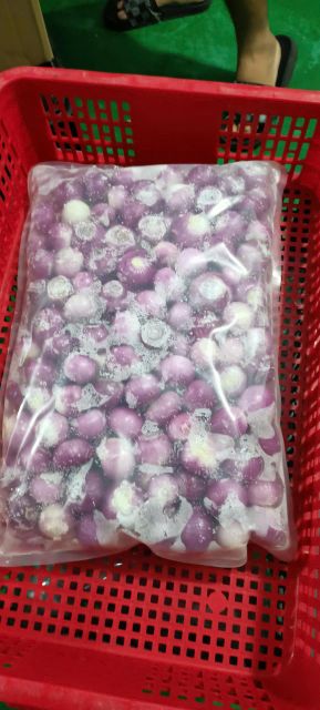 Frozen purple onion Shelf Life 24 Months Place of Origin Vietnam Storage Temperature -18°c Freezing Temperature -30°c Packaging PA/PE or a bulk, Pa/pe Bag Or Bulk - Image 2