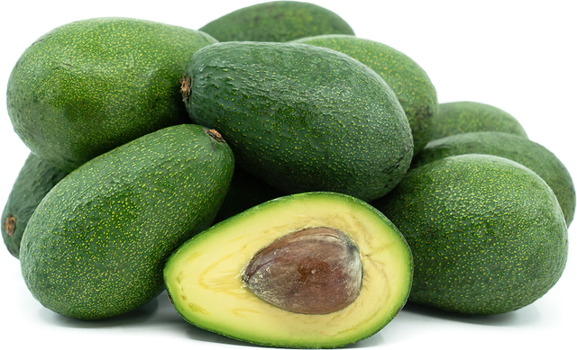 Fresh Avocado / Hass Avocado/Fuerte Avocado Fruit - Image 2